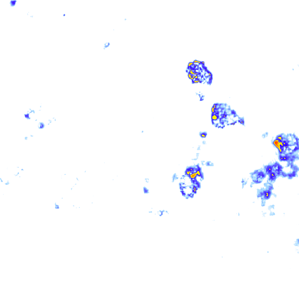 rainLayer