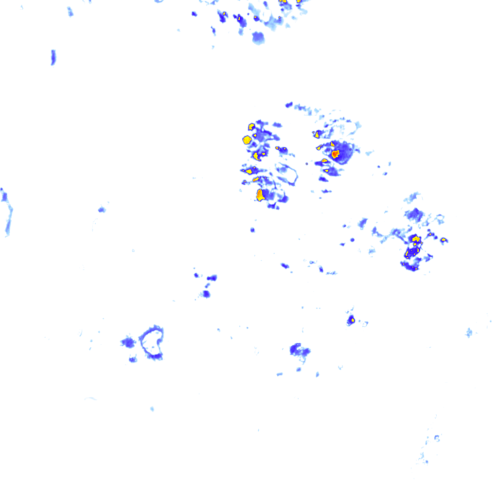 rainLayer
