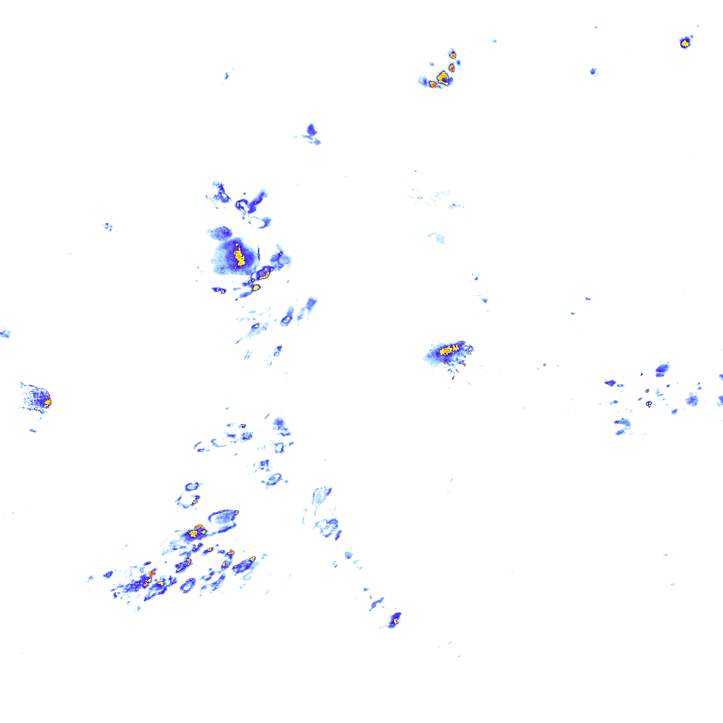 rainLayer