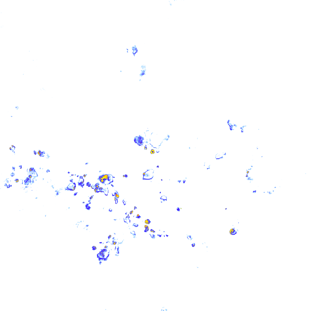 rainLayer