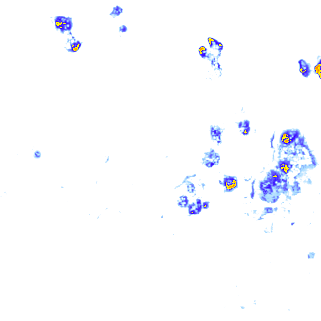 rainLayer