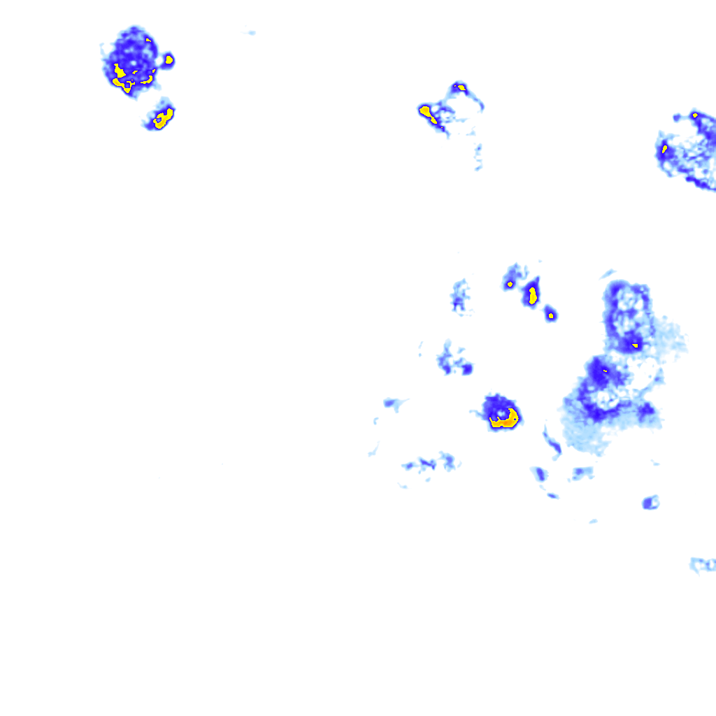rainLayer