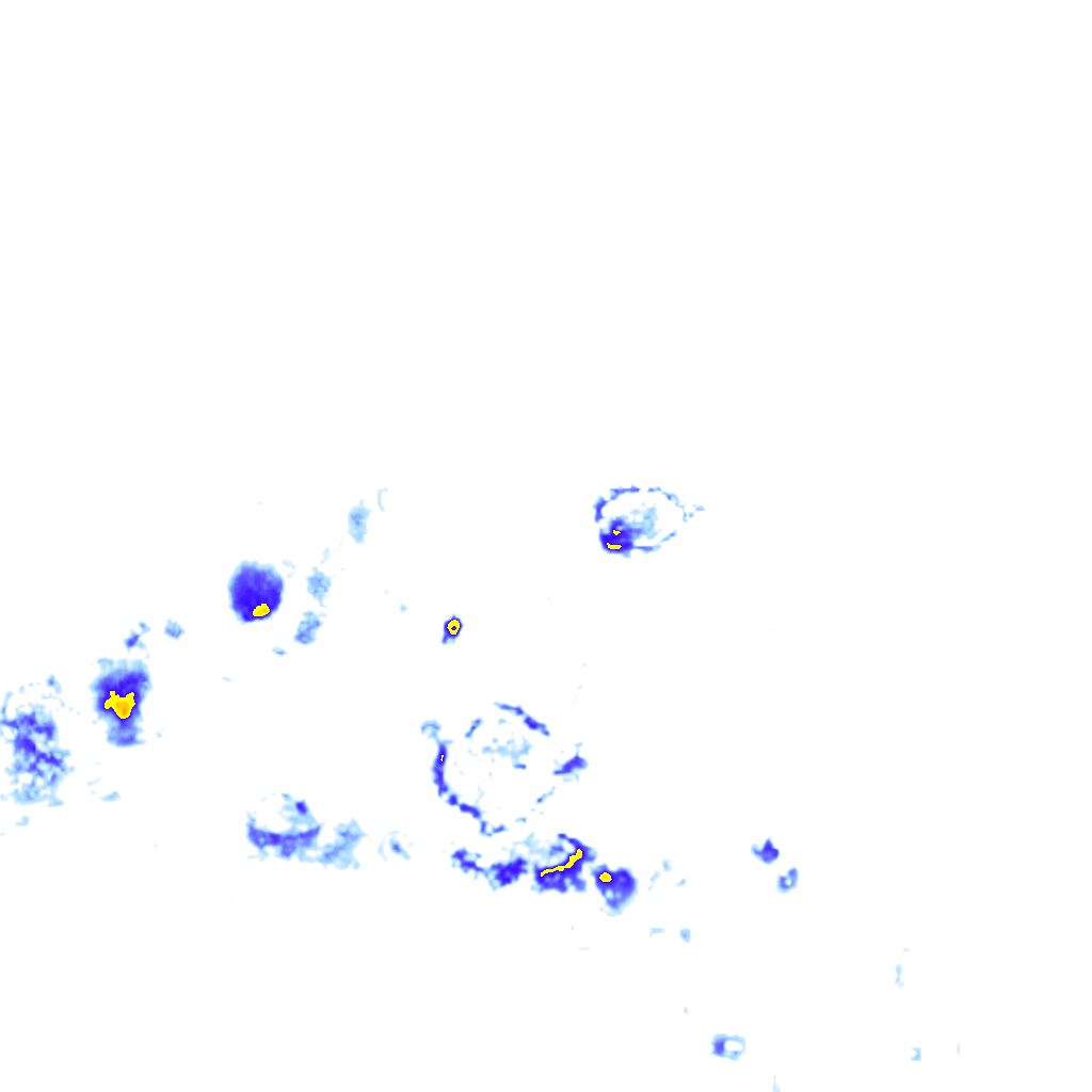 Image Layer