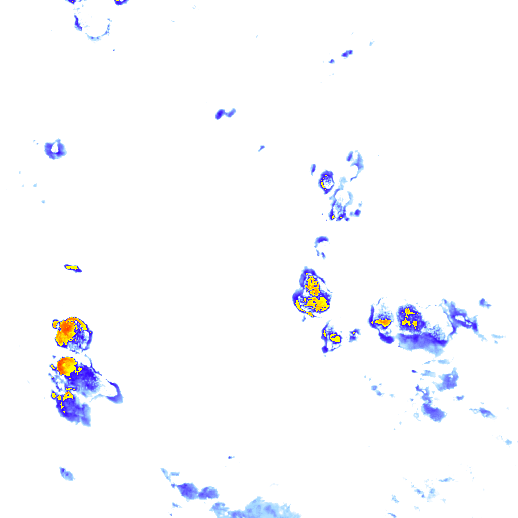 rainLayer