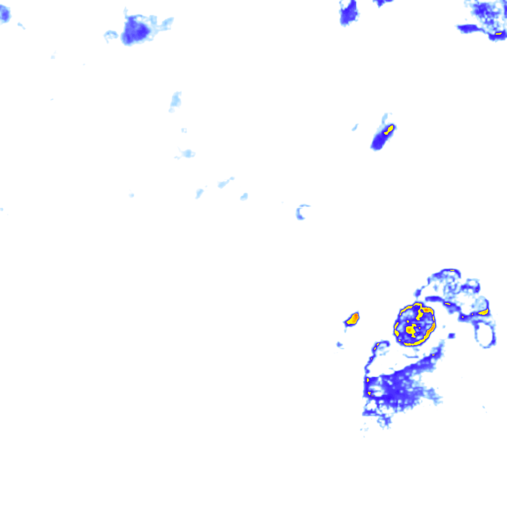 rainLayer