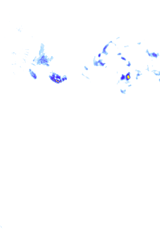 rainLayer