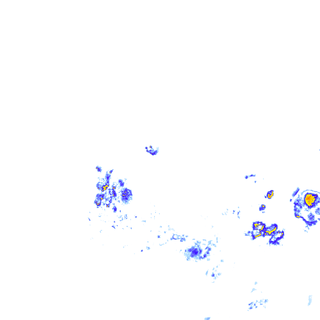rainLayer