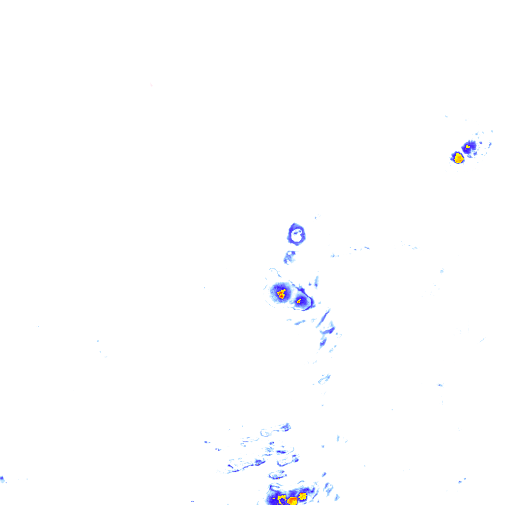 rainLayer