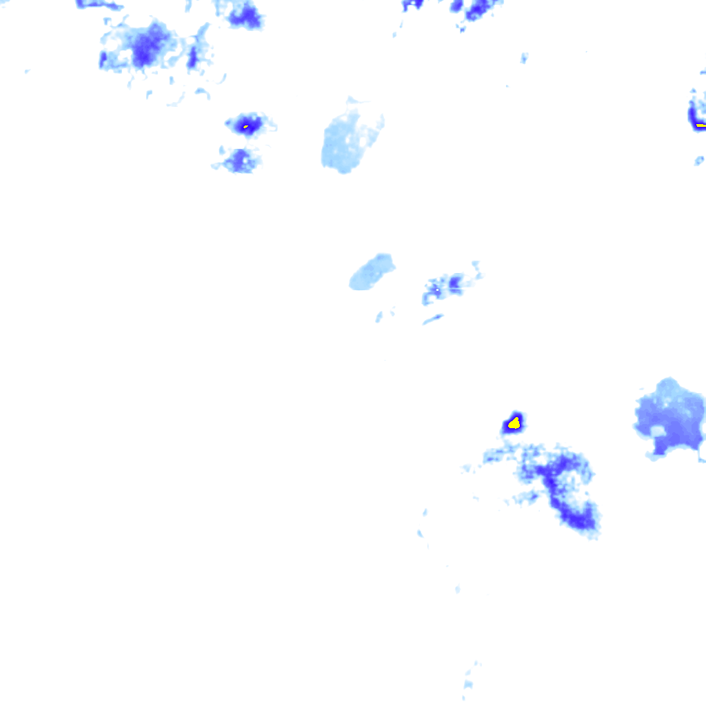 rainLayer