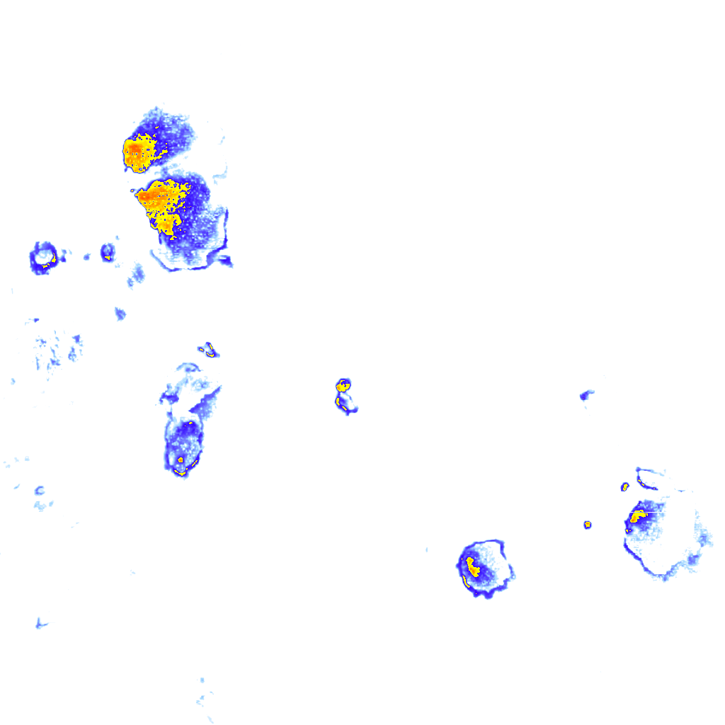 rainLayer