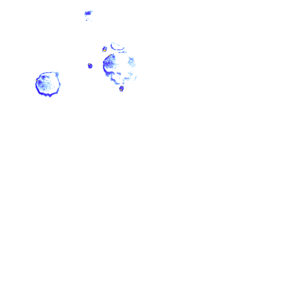 rainLayer