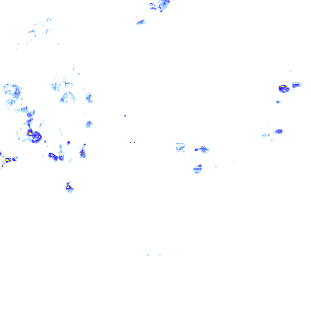 rainLayer