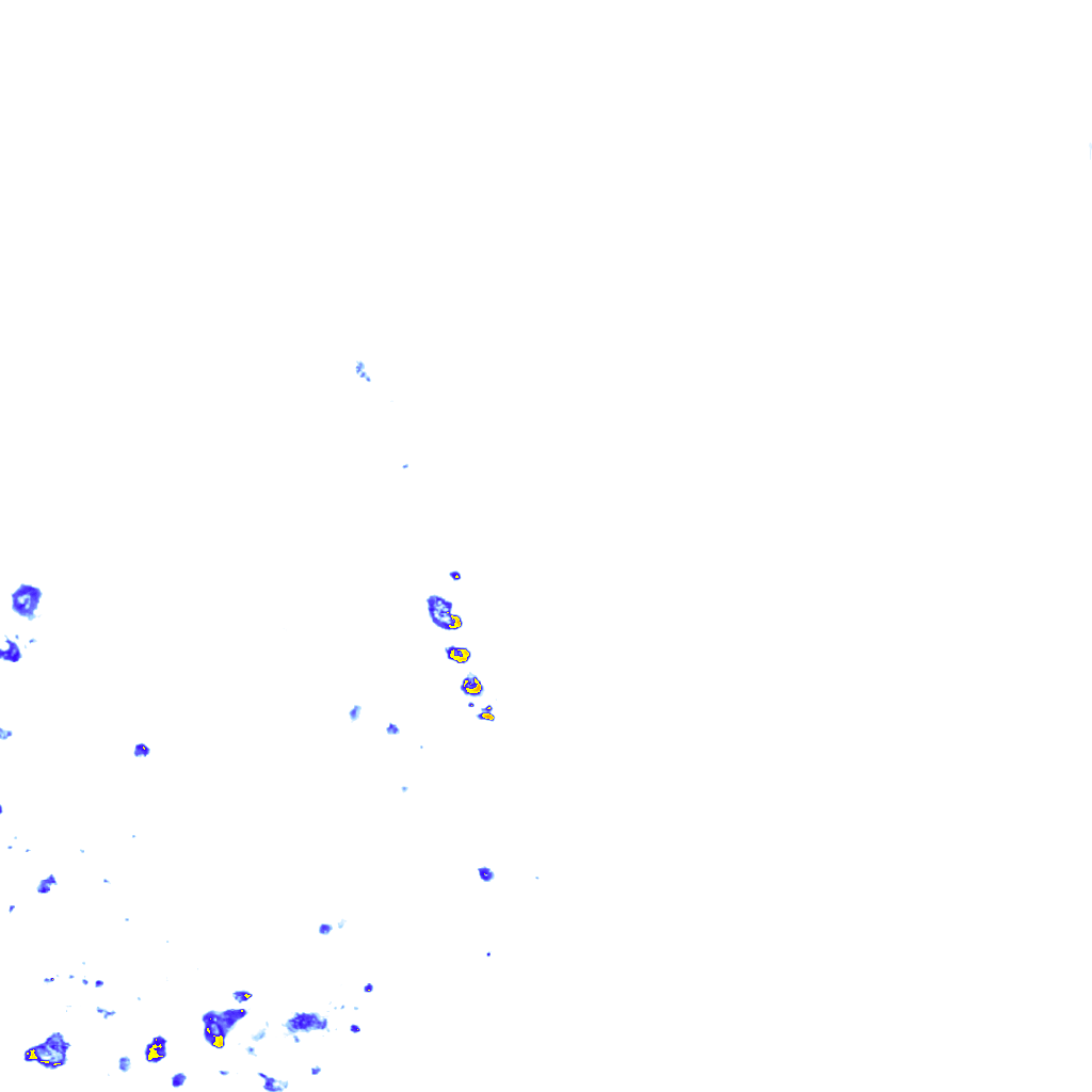 rainLayer