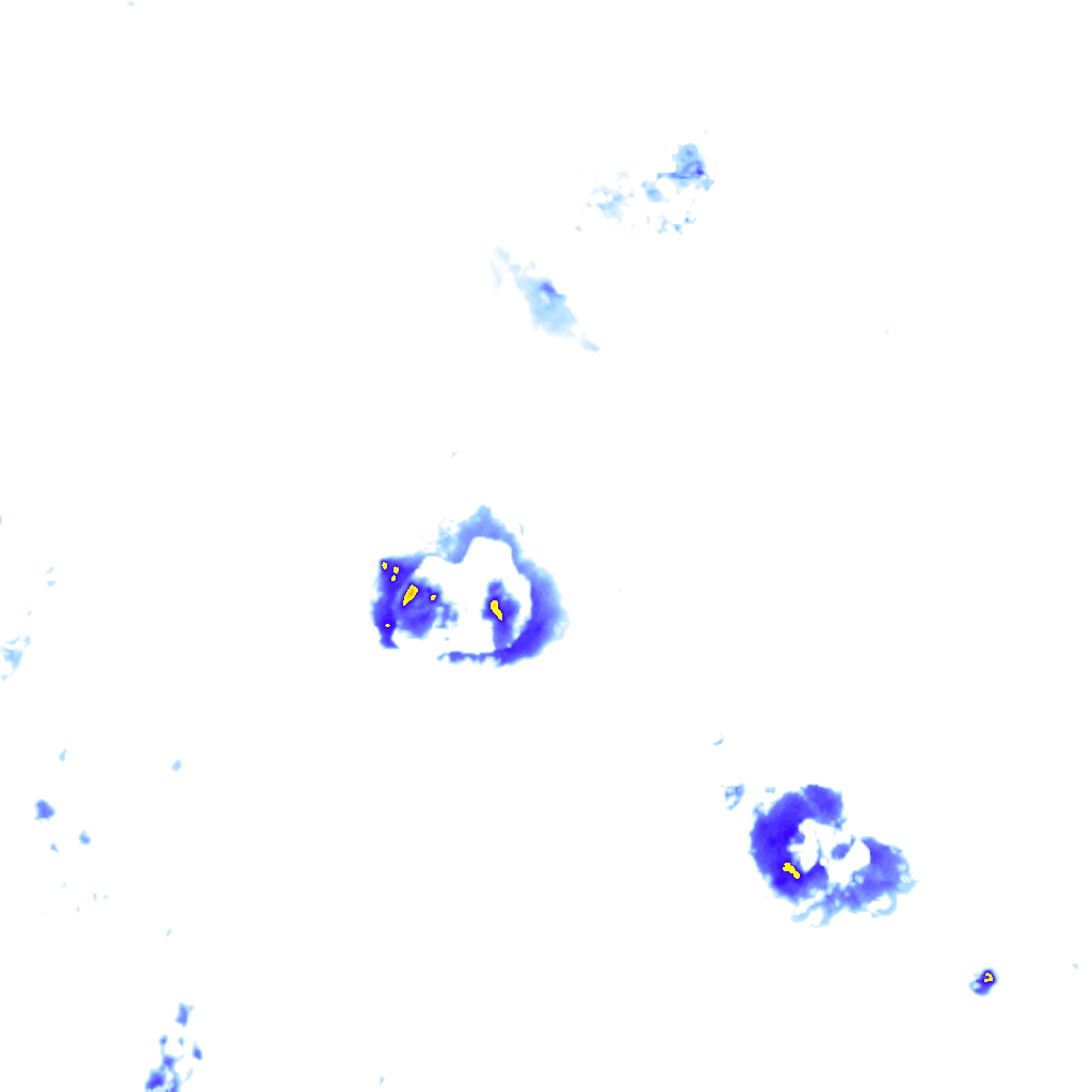 Image Layer