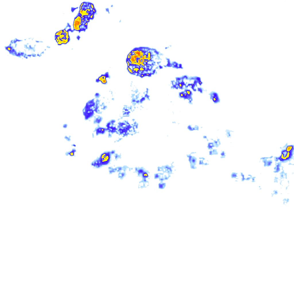 rainLayer