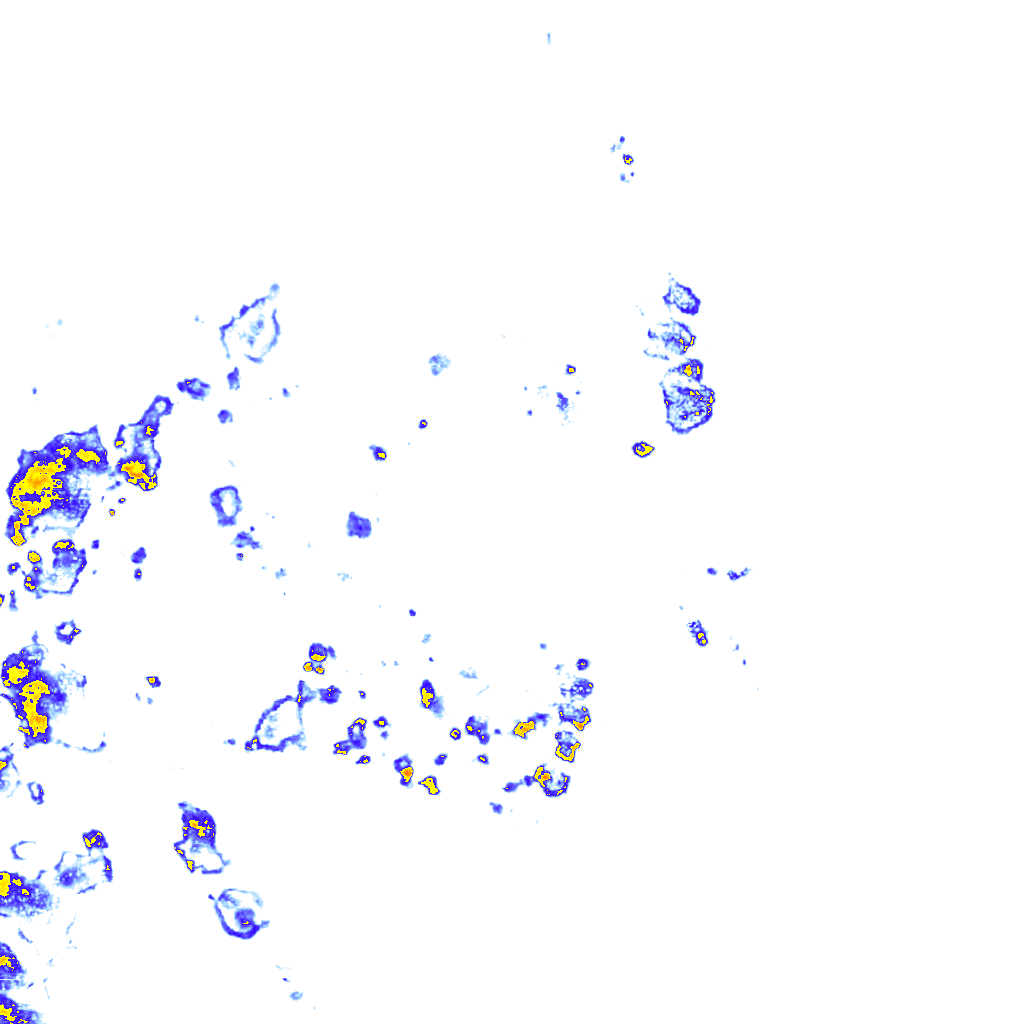 rainLayer