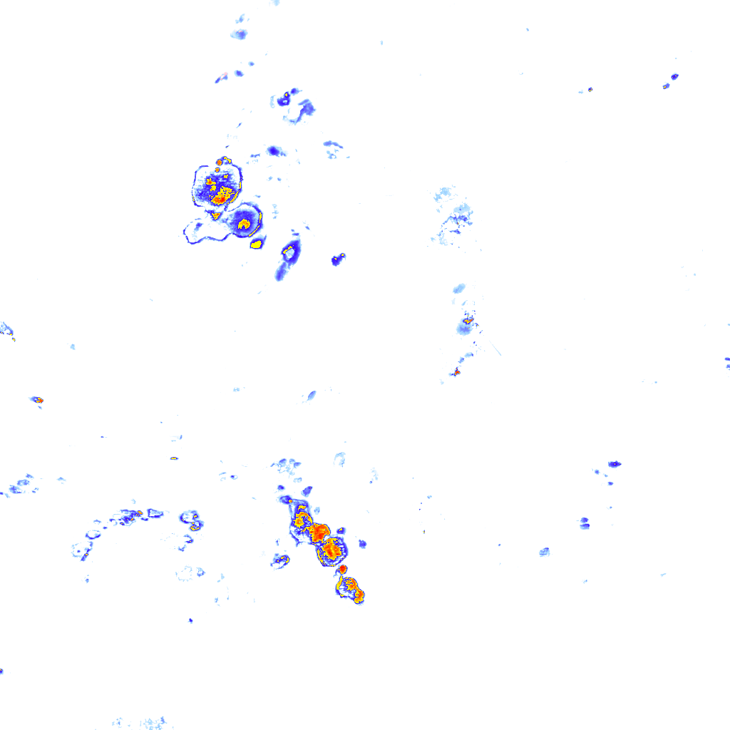 rainLayer