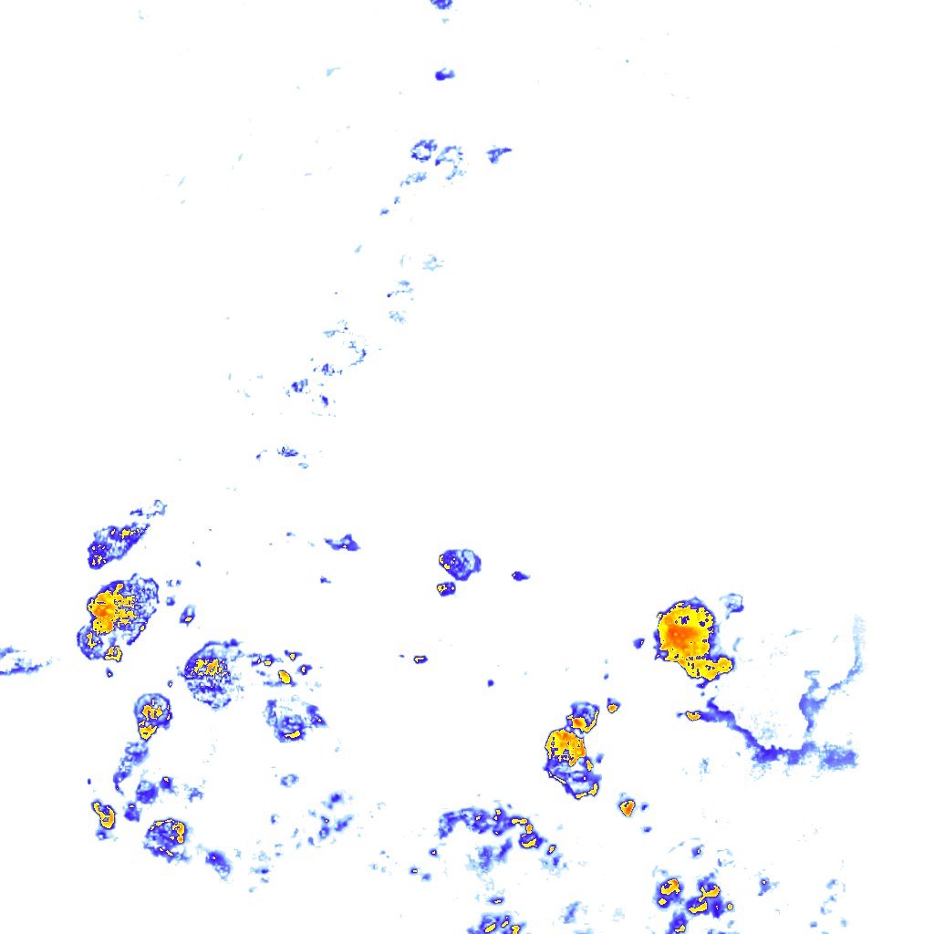 rainLayer
