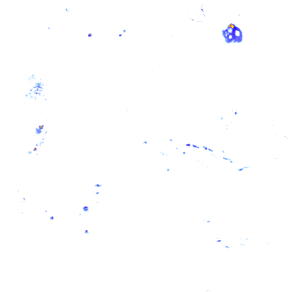 rainLayer