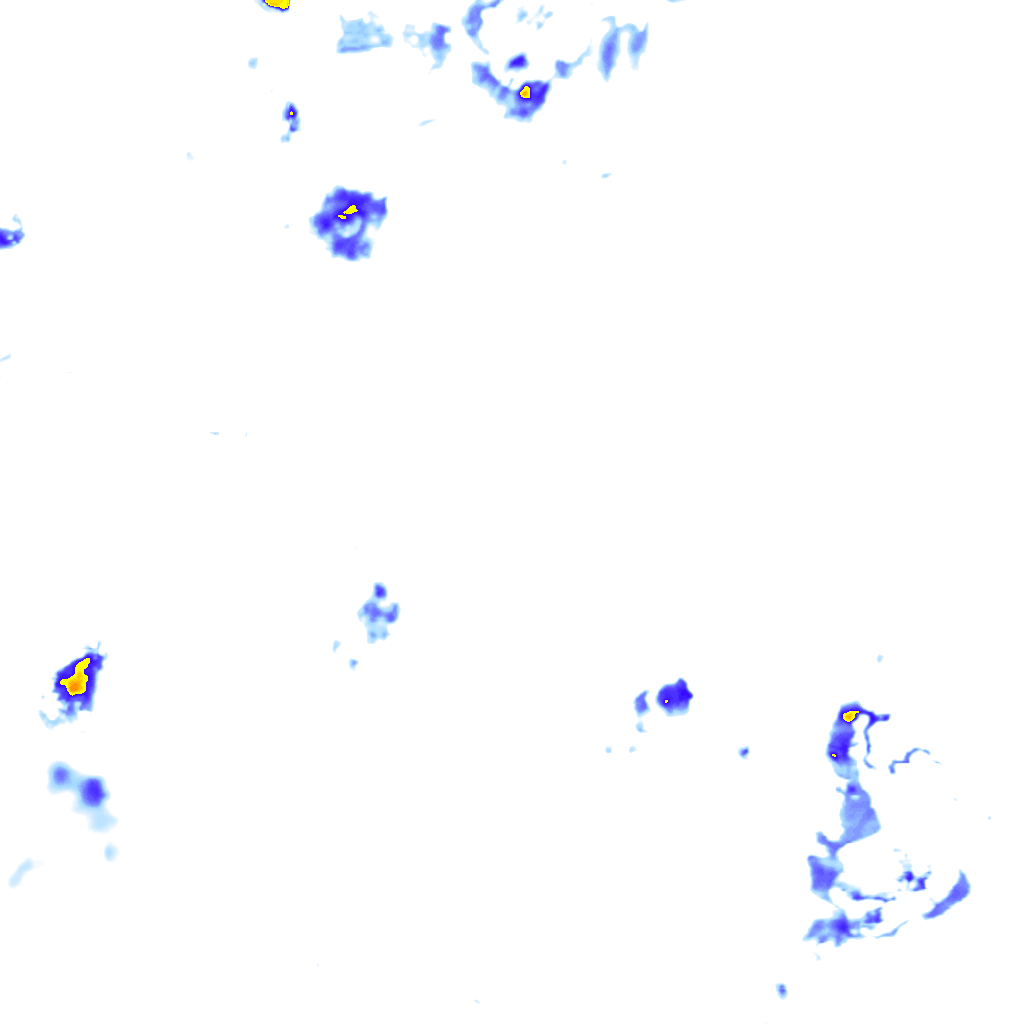 rainLayer