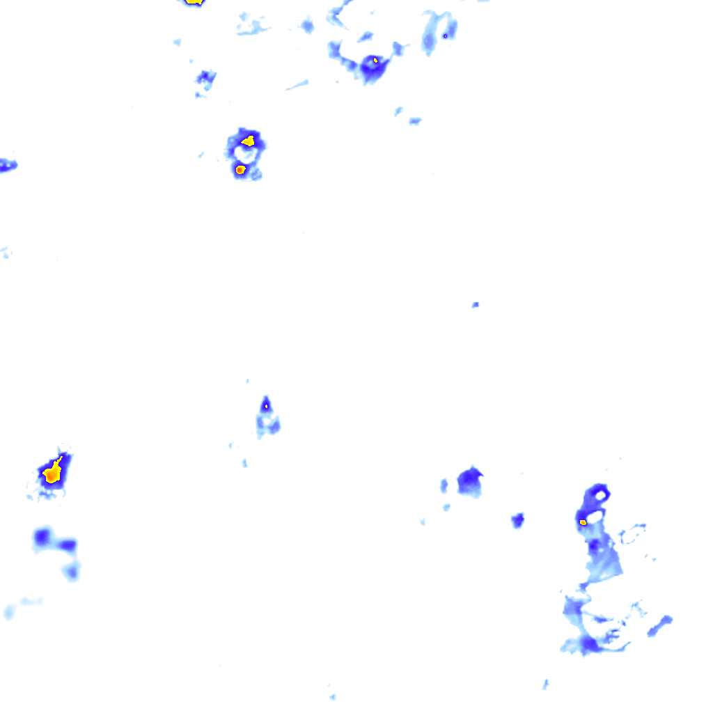 rainLayer
