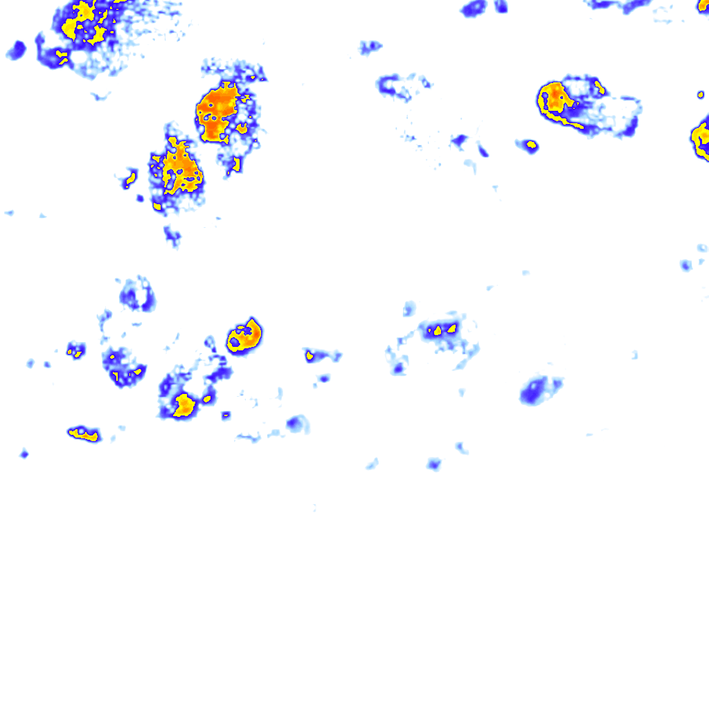 rainLayer