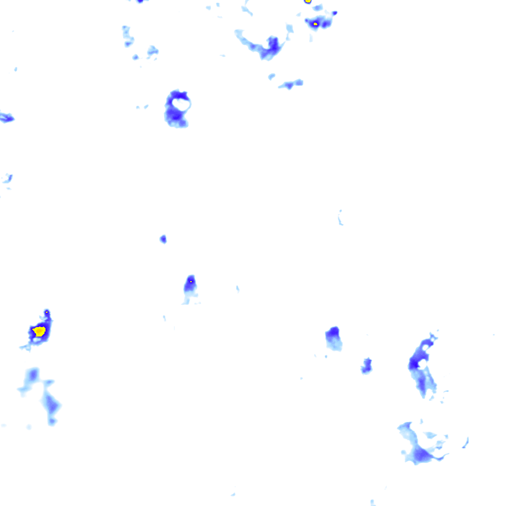 rainLayer