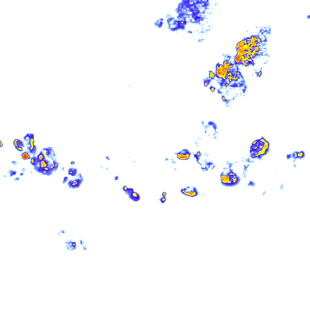 rainLayer