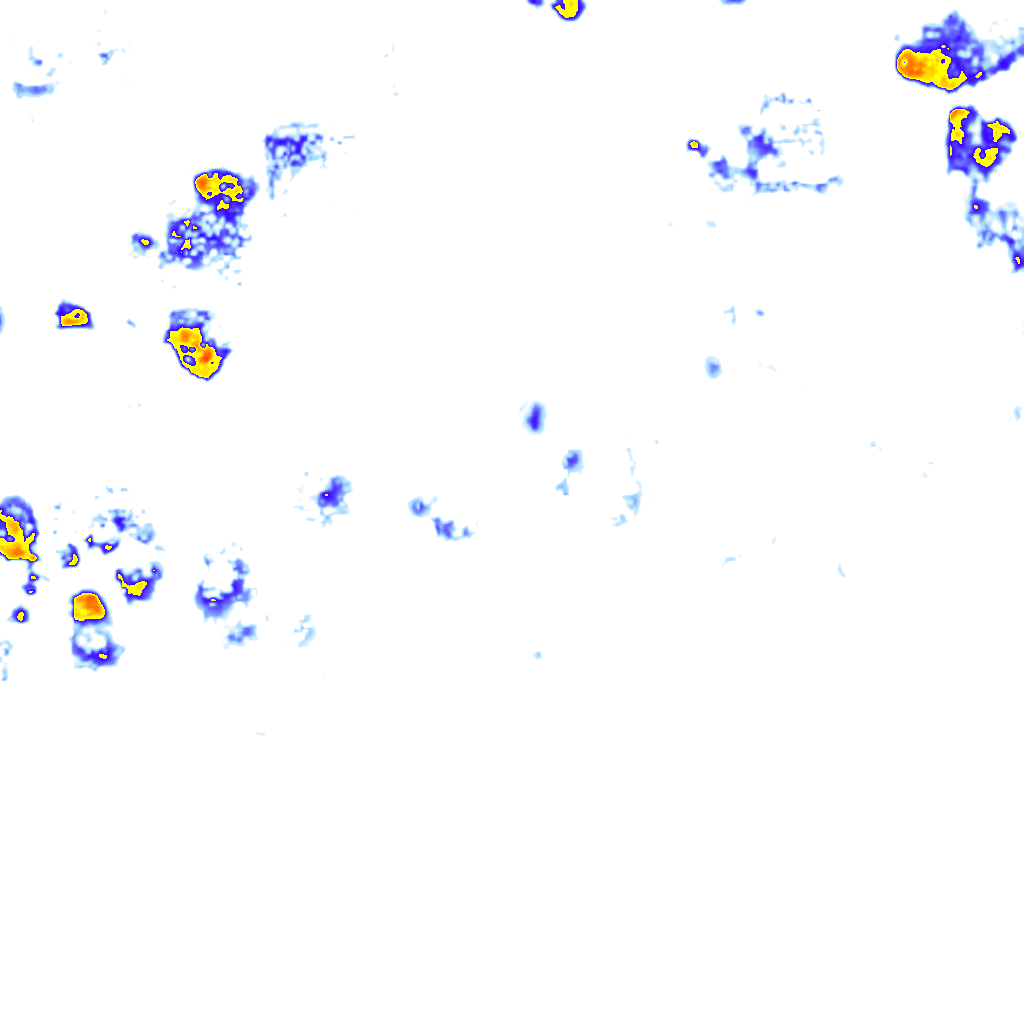 rainLayer