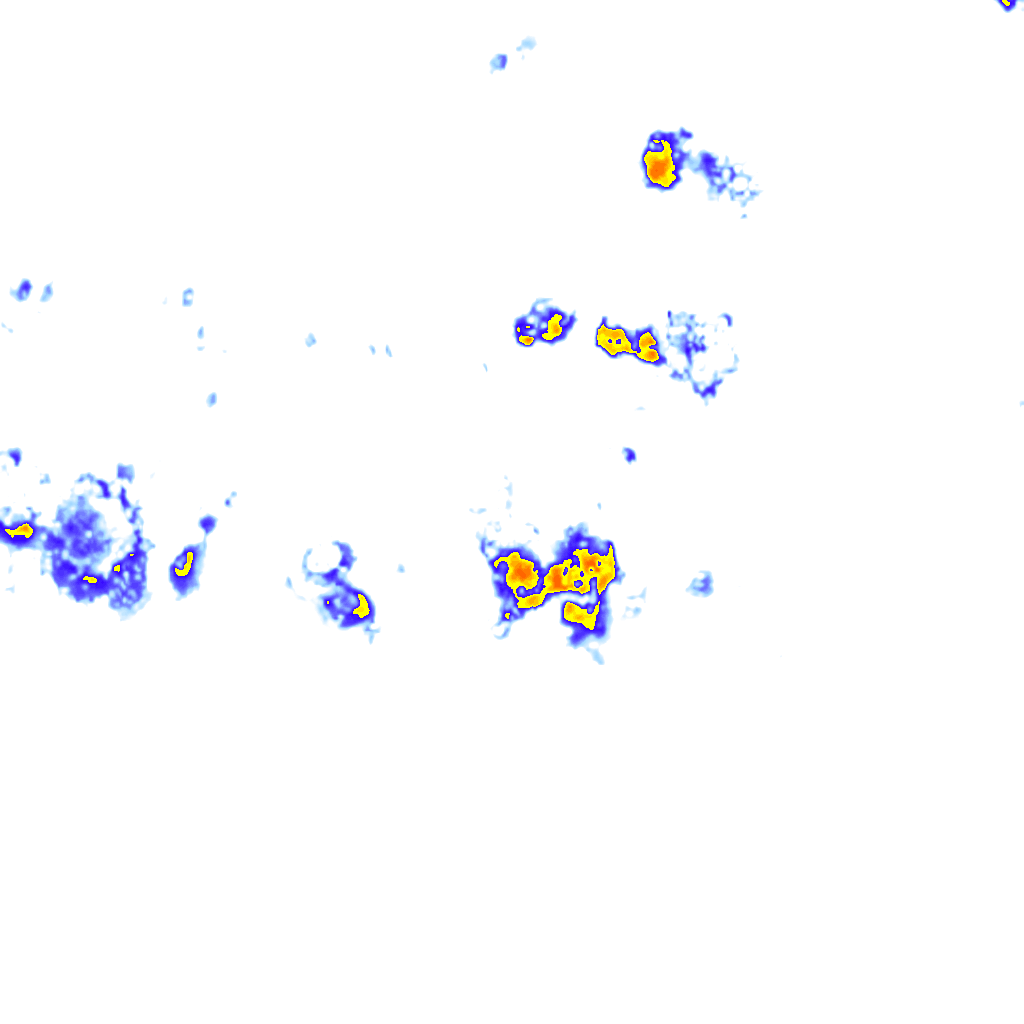 Image Layer