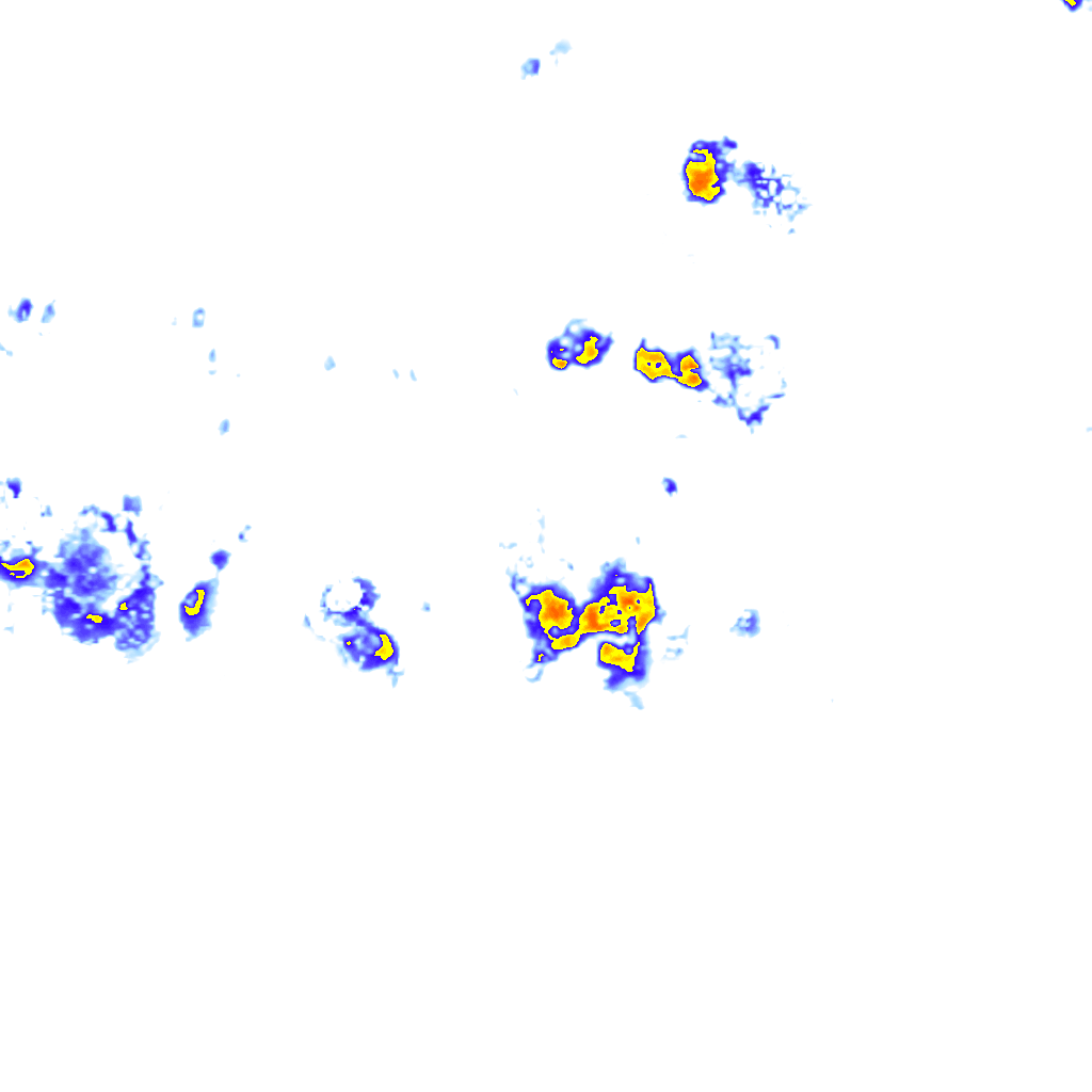 rainLayer