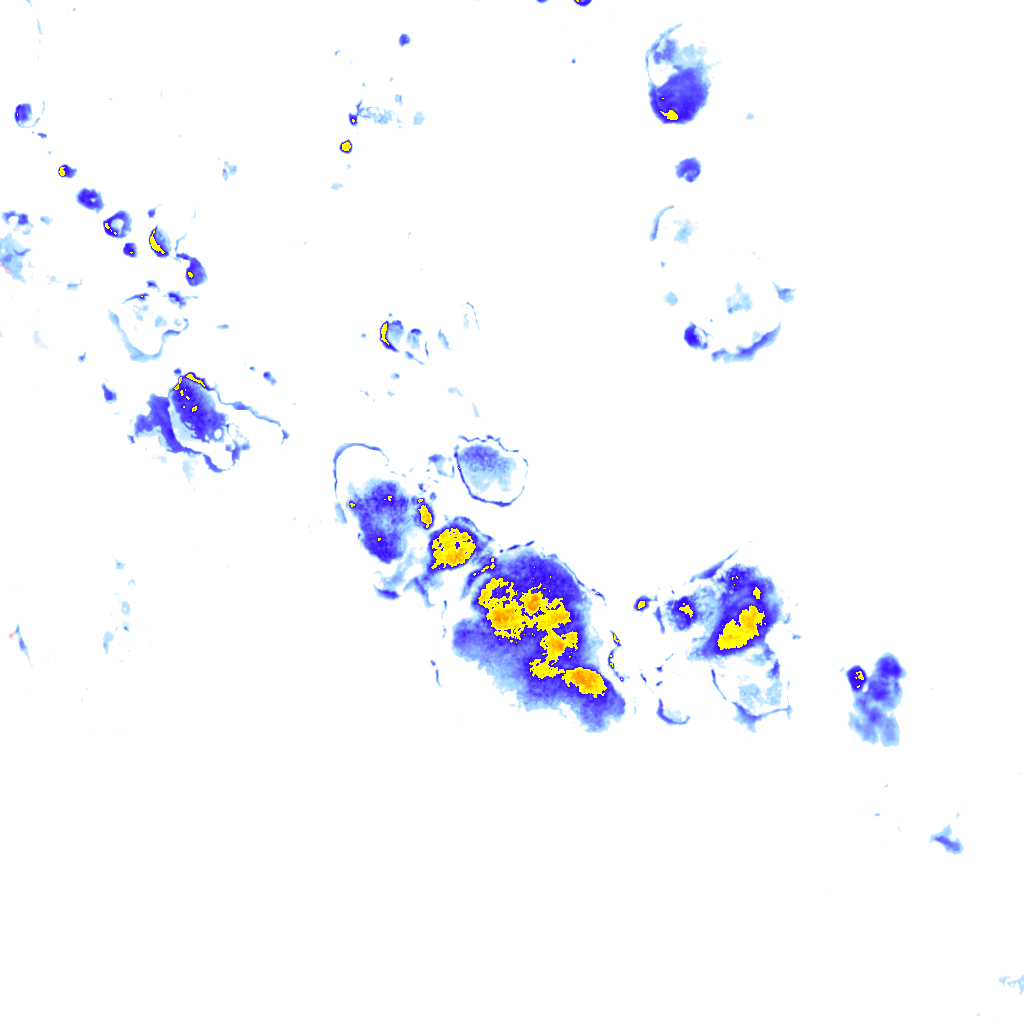 rainLayer