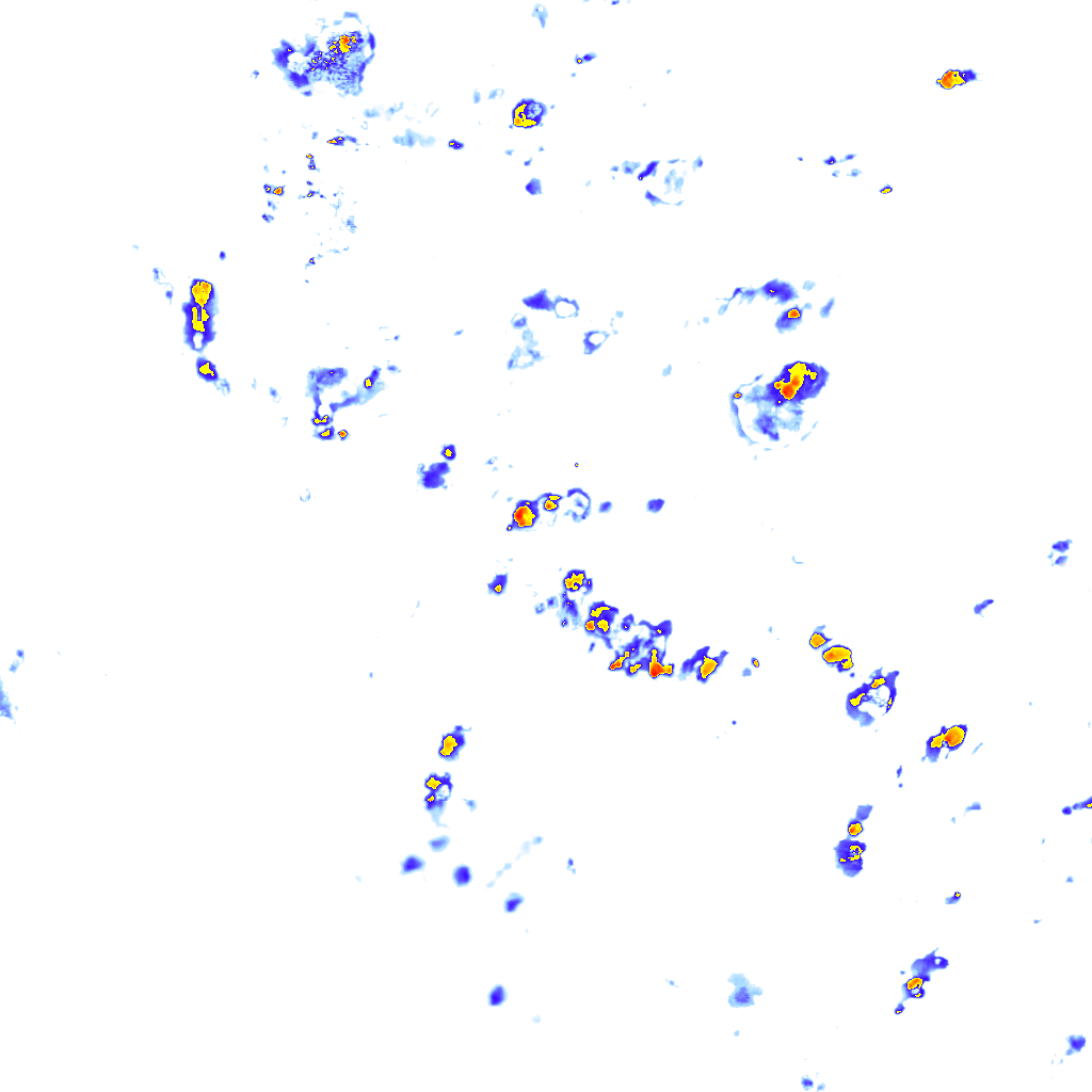 rainLayer