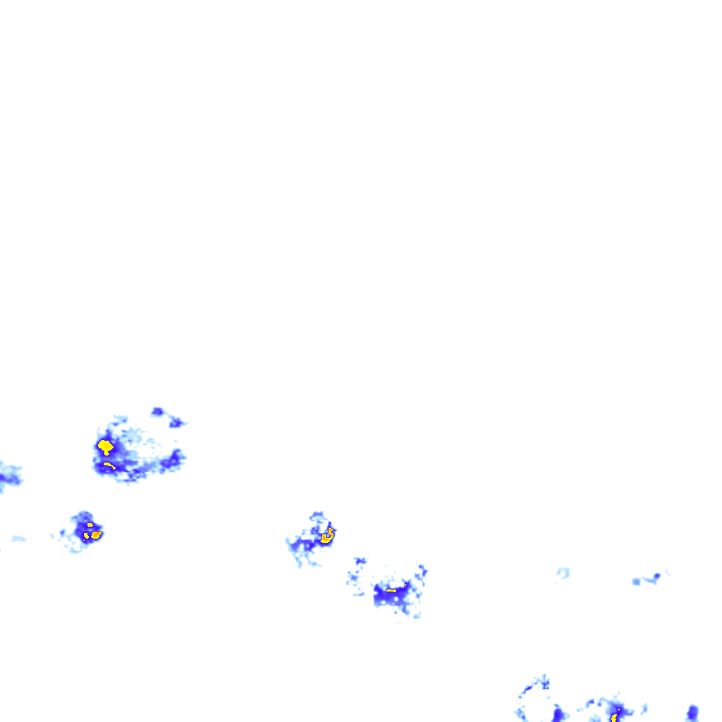 rainLayer
