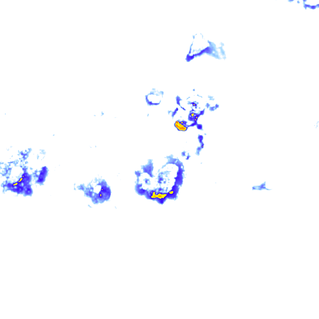 Image Layer