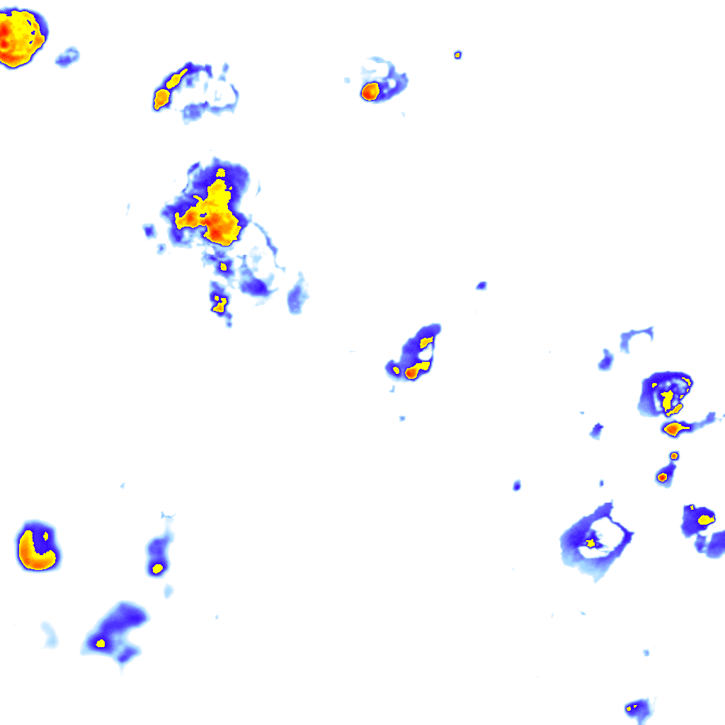 Image Layer