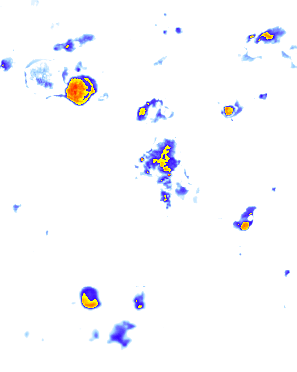 Image Layer