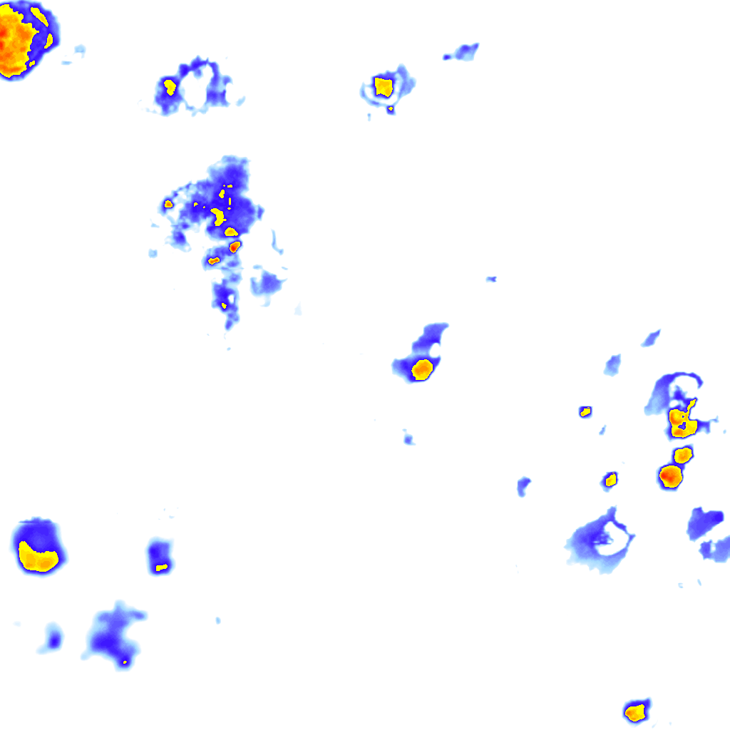 Image Layer
