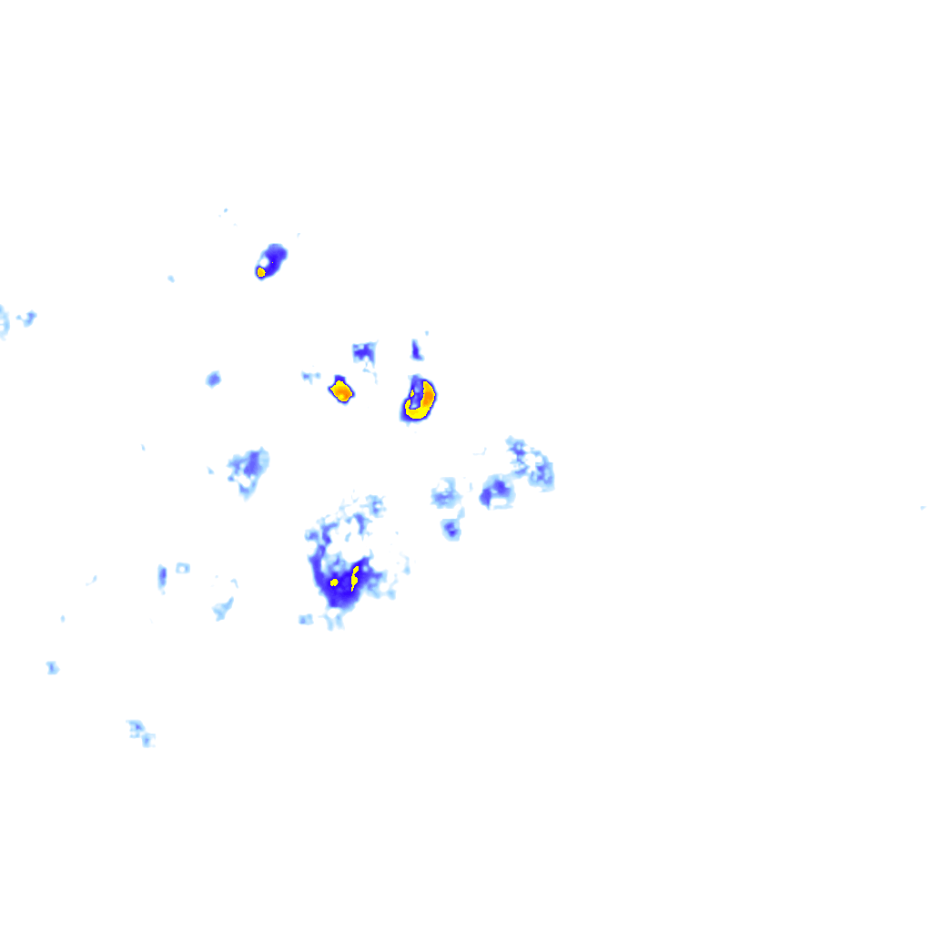 rainLayer