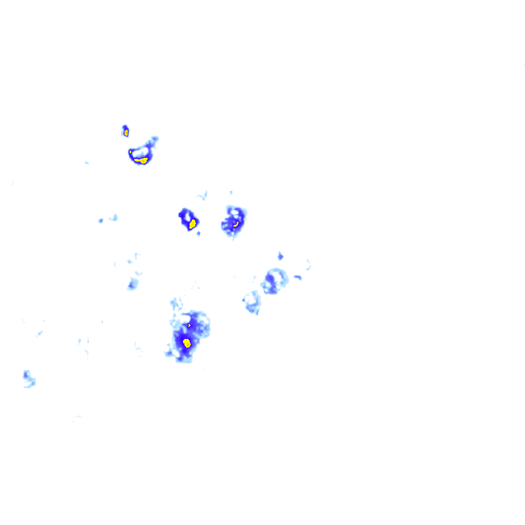 rainLayer
