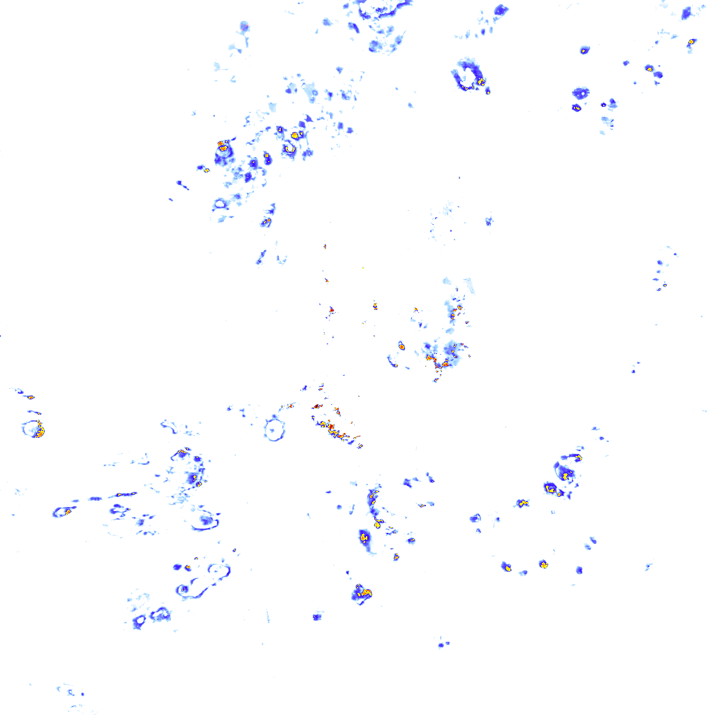 Image Layer