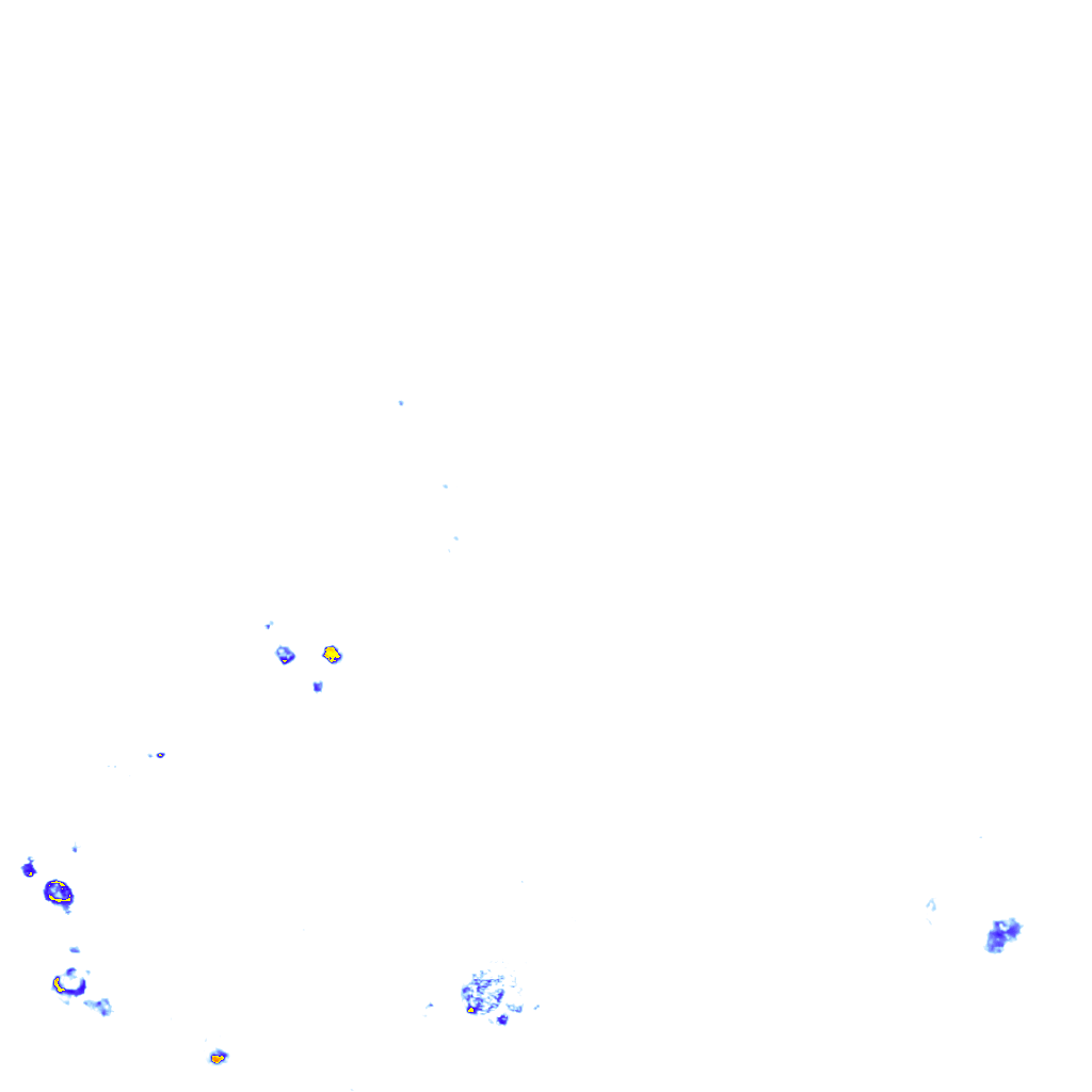 rainLayer