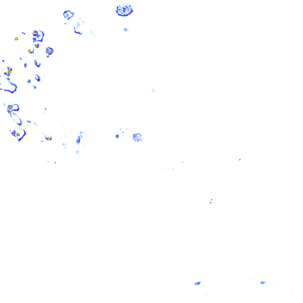 rainLayer