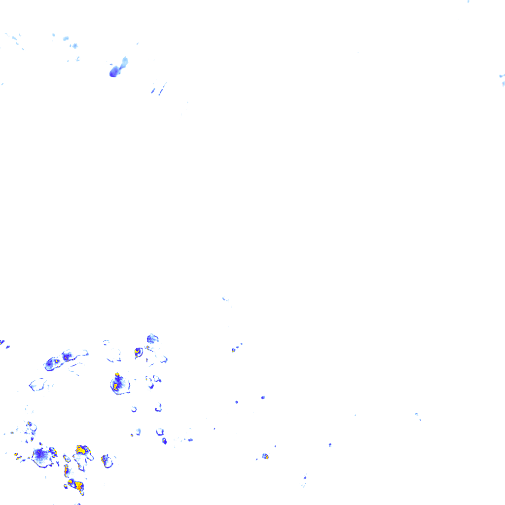 rainLayer