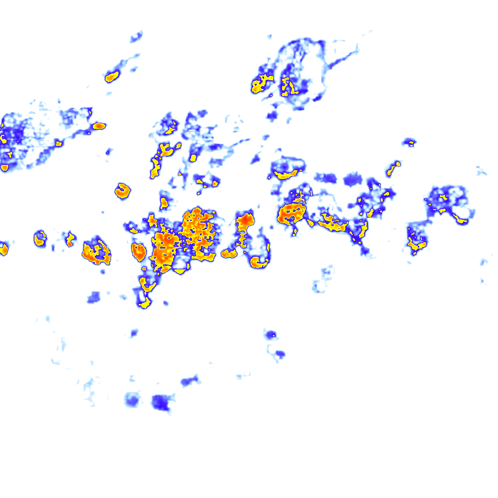 Image Layer