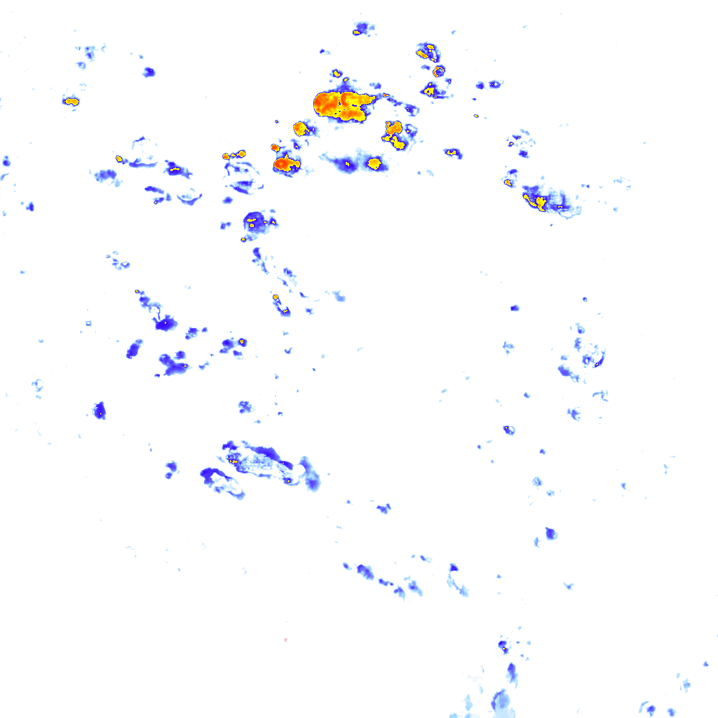 rainLayer