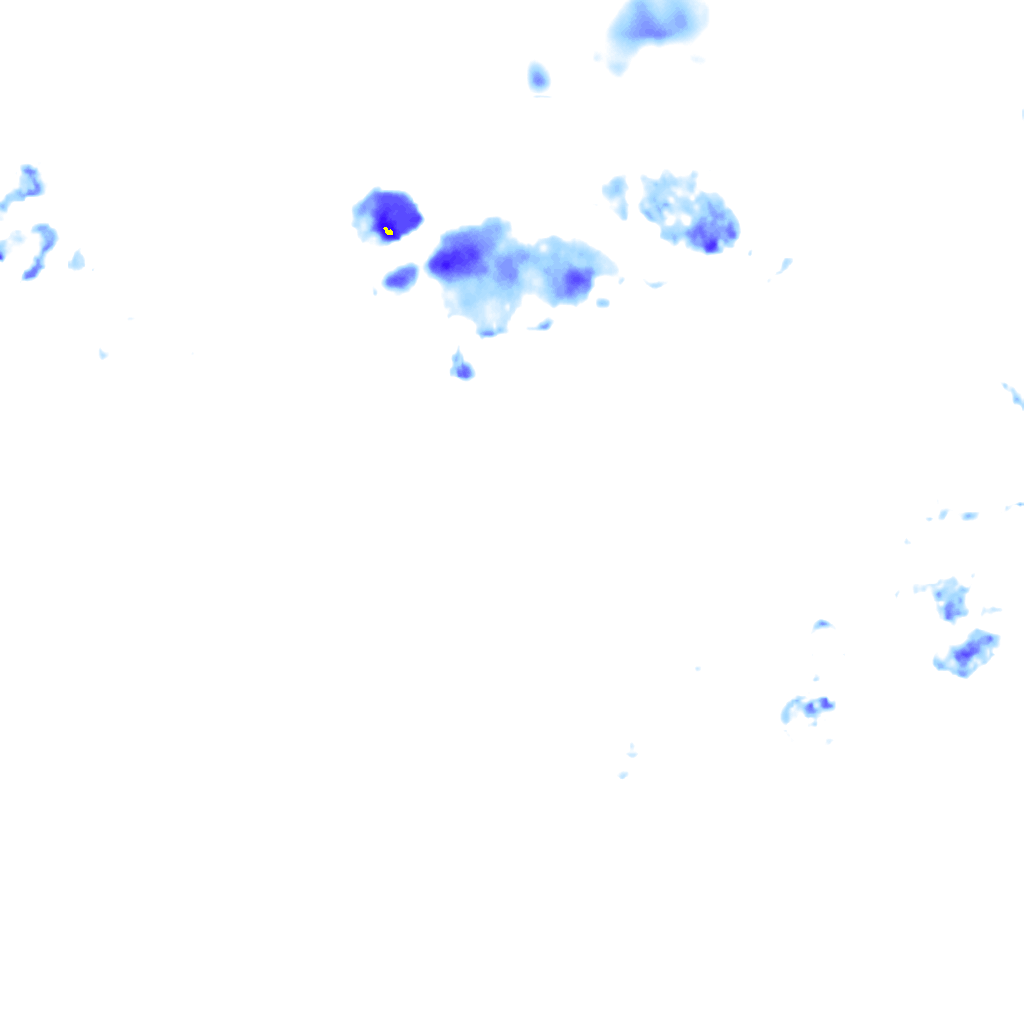 rainLayer