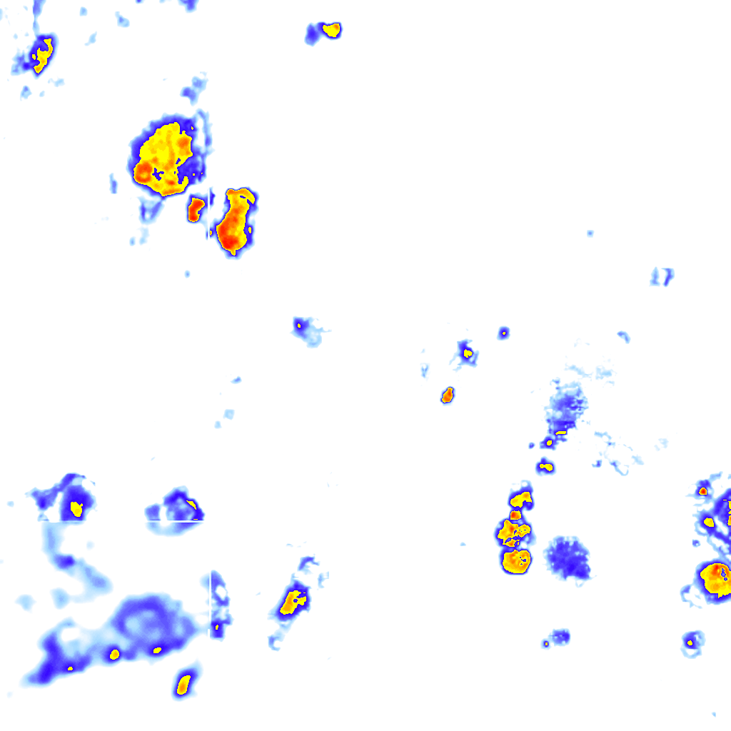 Image Layer