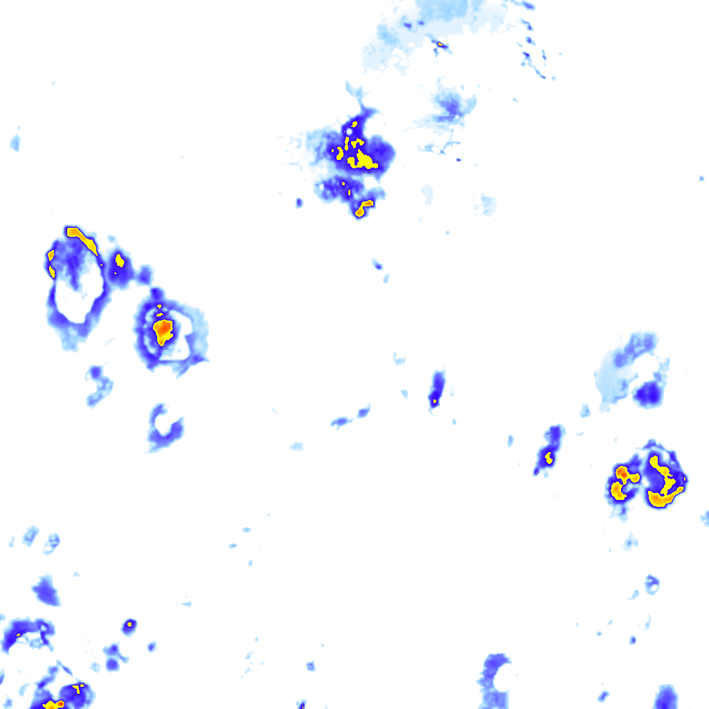 rainLayer