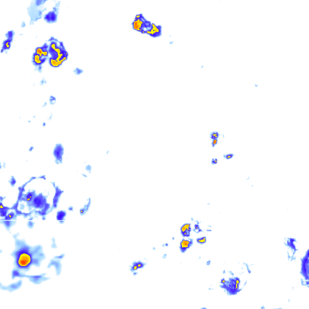 Image Layer